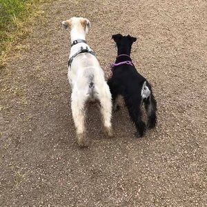 Meet your Posher, Tamara